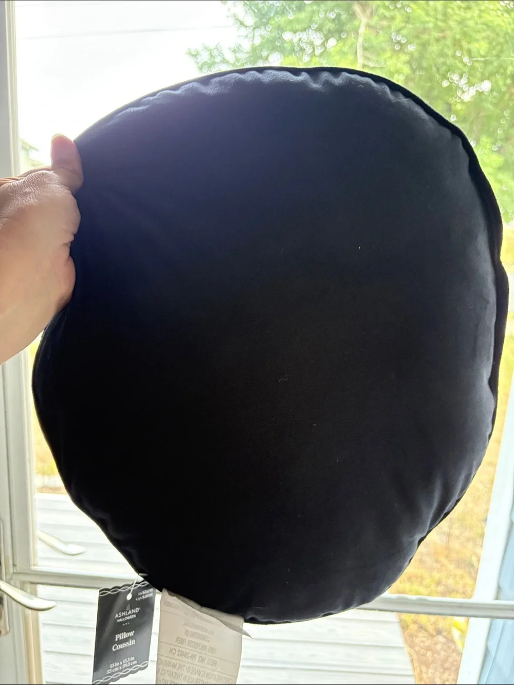 Ashland Halloween Black Pillow with Tag